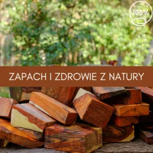 drzewo różane