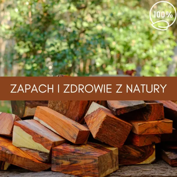 drzewo różane