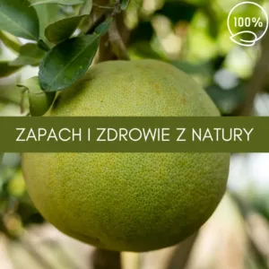 grejpfrut biały