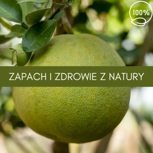 grejpfrut biały