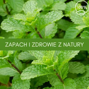 mięta pieprzowa